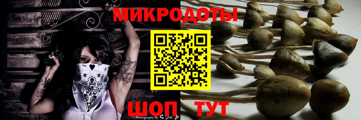 Псилоцибиновые грибы ЛСД Заволжье