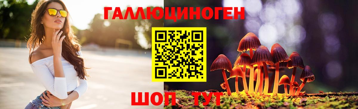 Заволжье  Псилоцибиновые грибы Magic Shrooms  Вход с VPN 